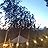 صورة Zen Yurt